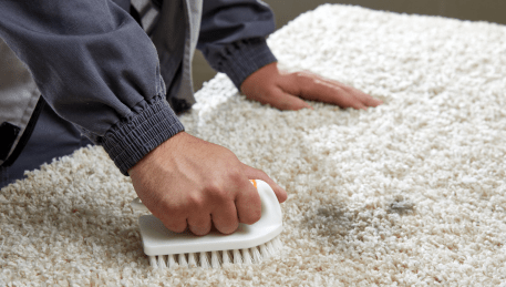Professional Rug Cleaning Heathmont